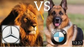 Mersedes benz vs bmw pirol 2019