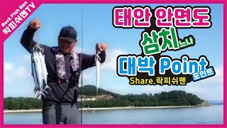 락피쉬맨의 [태안삼치\u0026광어루어낚시] 태안 발판좋은 느나포인트에서의 라이트 쇼어지깅 대박 포인트!!^^ rockfishman fishing