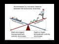 Chapter 18 Autonomic Nervous System Part4