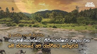 සංක්‍රමණිකයන්ගේ  ජීවිතාරක්ෂාව උදෙසා වන _ශ්‍රි ලාංකික පදනම් ක්‍රියාවලිය (Sri Lanka)