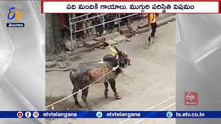 10 Injured In Bull Race | Karnataka | కర్ణాటకలో జరిగిన బుల్‌రేస్‌లో ఎద్దు వీరంగం | 10మందికి గాయాలు