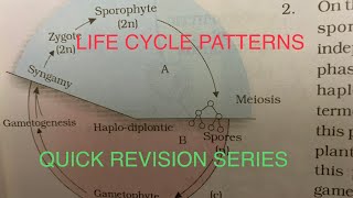 LIFE CYCLE PATTERNS | HAPLONTIC DIPLONTIC HAPLO-DIPLONTIC #biomadeeasy #neetfreenote #neetmnemonics