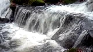 Before & After: How Improving Fish-Blocking Culverts Work