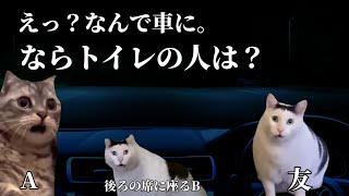 友人から聞いたオチはないが何とも気味が悪い話。#猫ミーム #猫マニ #怖い話