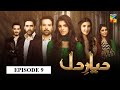 Diyar e Dil Episode 9 HUM TV Drama