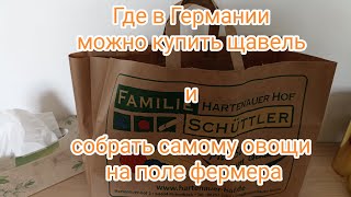 Где в Германии купить щавель..Поля для самосбора овощей и специй.