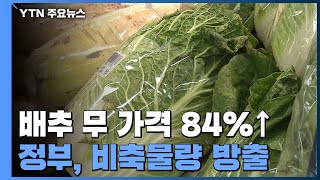 배추·무 가격 84%↑...정부, 비축물량 본격 방출 / YTN