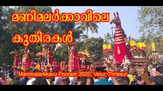 മണിമലര്‍ക്കാവിലെ കുതിരകള്‍, Manimalarkkavu Pooram 2020, Velur, Thrissur, Kumbha Bharani Vela