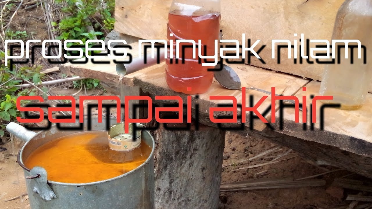 Proses Nilam Youtube