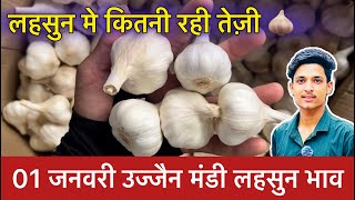 Ujjain Mandi Lahsun Ka Bhav | Garlic Price Today | Ujjain Mandi Bhav Lahsun | 1 January 2025