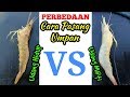 Cara Pasang Umpan Mancing ( how to install fishing bait )