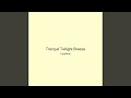 Tranquil Twilight Breeze