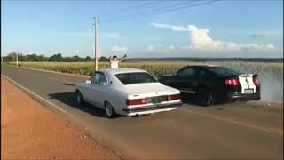 Opala vs Mustang v8!! Quem será que ganha?