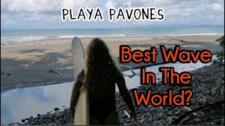 Pavones Costa Rica | Travel Vlog 9 |Best Wave in the World | Surfer's Paradise