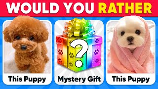 Would You Rather...? MYSTERY Gift πΆπβ ANIMALS Edition