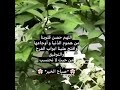 اجمل وارقى دعاء