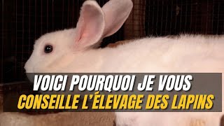 Voici notre élevage de Lapin.