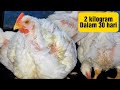 Kombinasikan Vitamin ini pada Ternak Ayam Anda !! Bobotnya akan maksimal dan untung besar !!