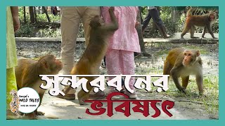 সুন্দরবনের ভবিষ্যৎ || Future of Sundarbans