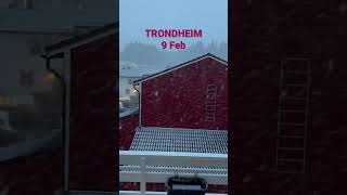 Snowing (Again!) in Trondheim, Norway