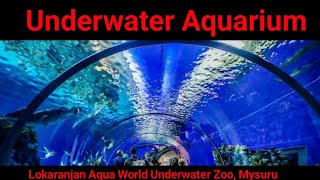 Lokaranjan Aqua World Underwater Zoo Mysuru #underwaterzoo #travelvlog