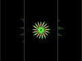 make amazing animations in python #python #viral #shorts #turtle #cool #amazing