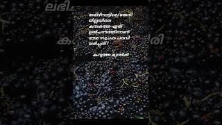 തമിഴ്നാട്ടിലെ തേനി ജില്ലയിലെ കമ്പത്തെ ഏത് ഉൽപന്നത്തിനാണ് ഭൗമസൂചക പദവി ലഭിച്ചത്? #shorts #psc