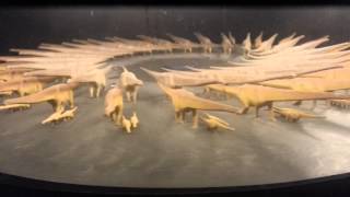 Phi phenomenon, dinosaurs at Perot Museum, Dallas