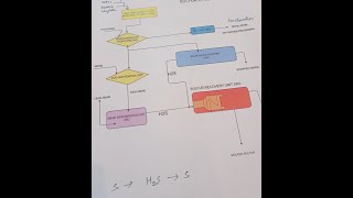DHDS, DHDT, HDS, ARU,ATU,SRU,SWS, HDROCRACKING, HYDROTREATING,AMINE