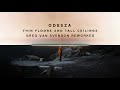 odesza thin floors and tall ceilings greg van svenson reworked