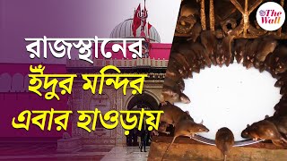 Karni Mata Mandir Rajasthan | রাজস্থানের ইঁদুর মন্দির এবার হাওড়ায়, দেবী নাকি খুব জাগ্রত | Howrah