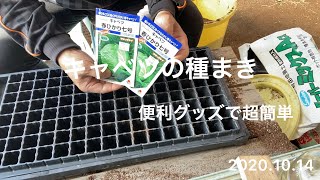 【 野菜作り 】キャベツの種まき。新型播種板は超便利！