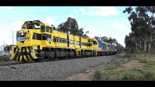 T385-386-G531-BL34-XR555 as 0079 to SSR Bendigo at Golden Square.  27-08-20.   15.44.37.