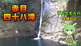 【赤目四十八滝】高画質映像で観る赤目渓谷と、幻想の竹あかり。～ずんだもんの探検日記～