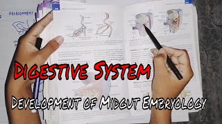 Digestive system Development of Midgut Embryology MBBS ONLINE LECTURES