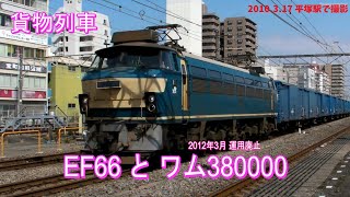 (貨物列車) EF66 と ワム380000 (平塚駅)