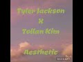 Tollan Kim - Aesthetic (Tyler Jackson Remix)