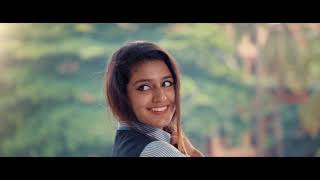 Oru Adaar Love "Munnaale Ponaale"Tamil Song Priya Prakash Varrier, Roshan Abdul
