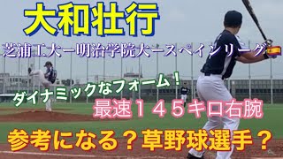 参考にならない草野球選手　スペイン最多勝投手　イチロー気取りの大和壮行くん　最速145キロ　参考にして欲しいのは？