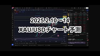 2025/2/10〜14 XAU/USD(ゴールド）チャート予測