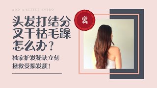 头发打结分叉怎么办？独家护发秘籍拯救受损发质【干货+好物分享】