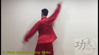 Basic Kung Fu Exercise 3: Black Dragon Coiling Strike 乌龙盘打站立练习