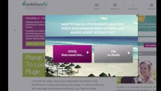 WordPress Optin Split Testing