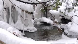 Winter at Proctor Conservation Area in Brighton Ontario