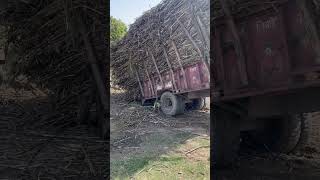 गन्ने की ट्रॉली ने ट्रैक्टर पलट दिया । #shorts #mahindra #tractor