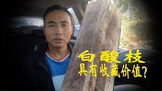 白酸枝有没有收藏价值？也就是我们所说的：奥氏黄檀