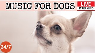 [LIVE] Dog Music🎵Relaxing Music for Dogs with Anxiety🐶🎵Separation anxiety relief music💖Dog Calm🔴4