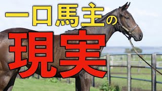 【必見】一口馬主は儲かるのか？回収率の現実を調べてみた！【一口馬主】