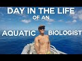 Day in the Life of: An Aquatic Biologist (UCSB)