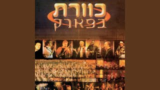 שירות עצמי (Live)